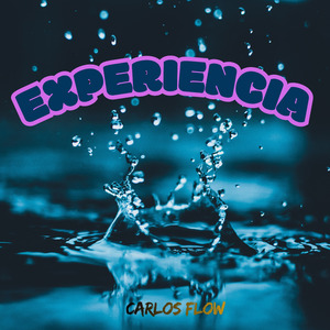 EXPERIENCIA