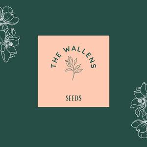 Seeds (feat. Brian Keith Wallen)
