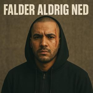 Falder Aldrig Ned