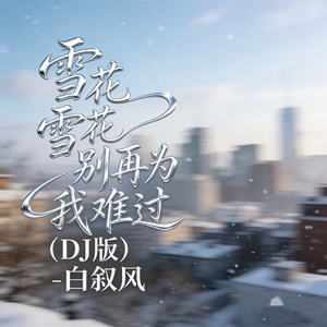 雪花雪花别再为我难过(DJ版)