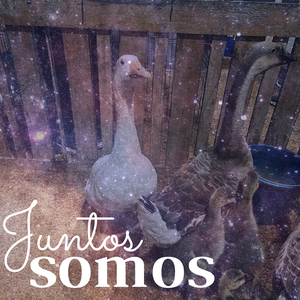 Juntos Somos