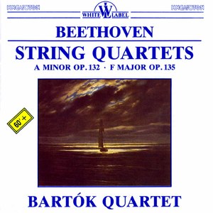 String Quartet No. 15 in A Minor, Op. 132:II. Allegro ma non tanto