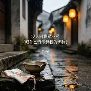 没人问我累不累(喝什么酒能解我的忧愁)