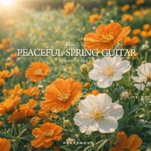 Peaceful Spring Guitar & Piano