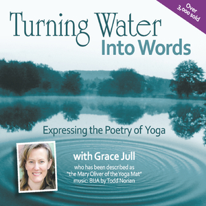 Bridge (feat. Todd Norian)