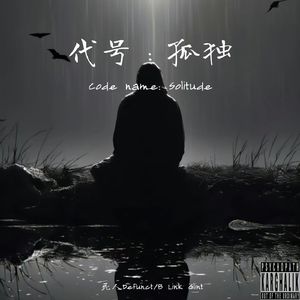 代号：孤独