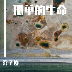 孤单的生命 伴奏