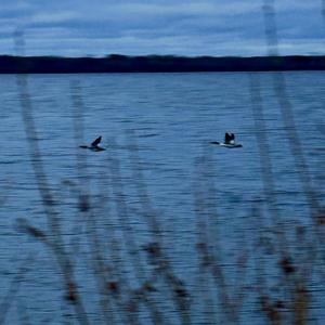 Stagnation