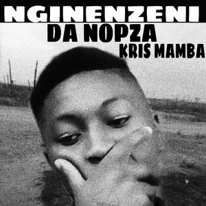 Nginenzeni