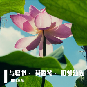 与夏书• 荷香笺• 旧梦涟涟