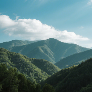晴山见