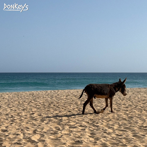 La danza dei Serpenti