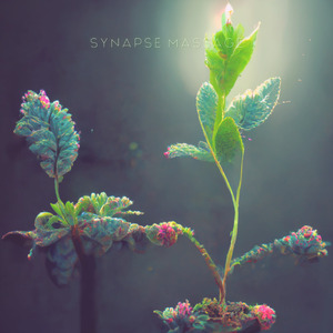 Kuacha Mikazo (Sound Bath)