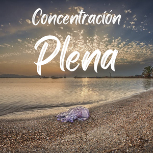 Concentración Plena