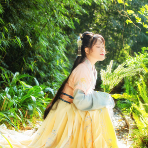 铁血丹心 ft 橙翼（Cover 罗文 / 甄妮）