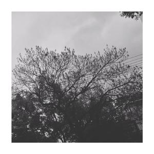 新余下暴雨，你不在我身边。