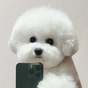 5.20am(可俺不是河南的耶)