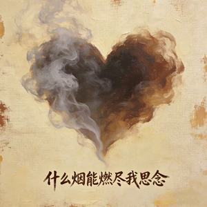 什么烟能燃尽我思念