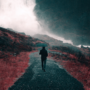 Calm In The Storm