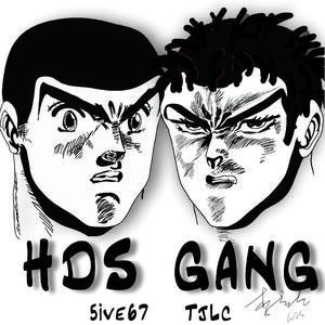 HDS Gang