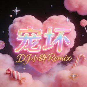 宠坏 (DJ小辞Remix)