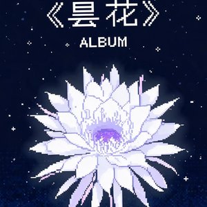 昙花