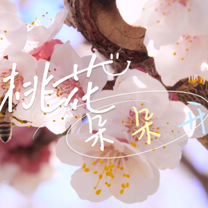 桃花朵朵开（温柔少年版）