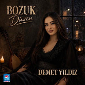 Bozuk Düzen