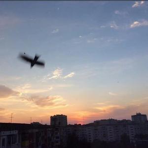 不知所措（翻自：王靖雯不胖）