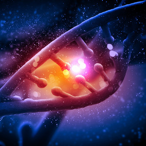 new dna