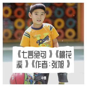 《七言绝句》《桃花溪》《作者：张旭》