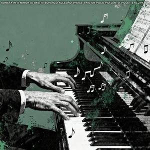 Sonata in D Major (IV Rondo Allegro Moderato Distant Wildflower) [D 850]