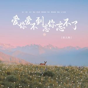 爱你爱不到忘你忘不了