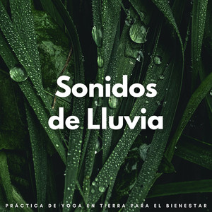 Práctica De Pose En El Árbol Tranquilo