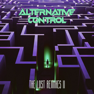 We Can Fly (Alternative Control Remix)