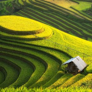 想说的画如诗 (9)