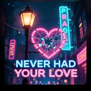 Never Had Your Love