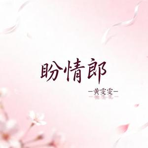 盼情郎