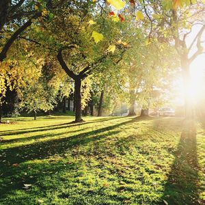 微妙的养生心情