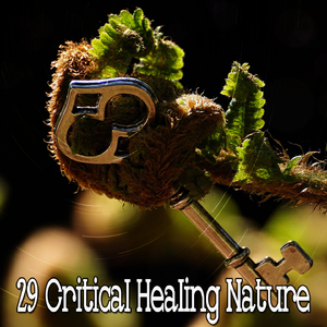 在大自然中散步