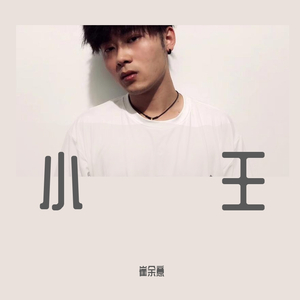 小王—“摆摊就业者”主题曲