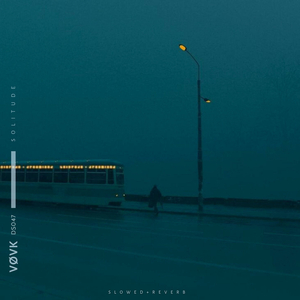 Solitude (slowed + reverb)