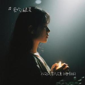 人间风雪几万重 (烟嗓版) (爱吃油麦菜 Remix)