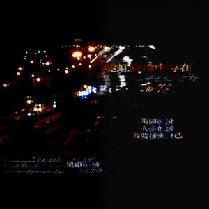 霓虹穿梭中存在