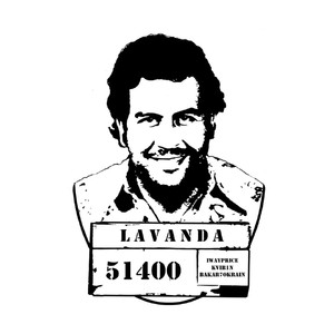 LAVANDA