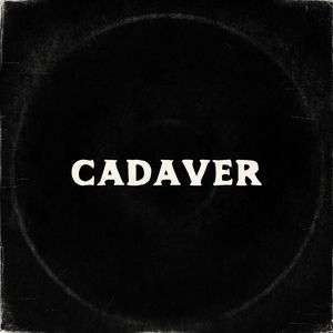 Cadaver
