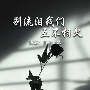 别流泪我们互不相欠