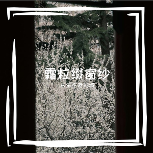 长生不老的城的