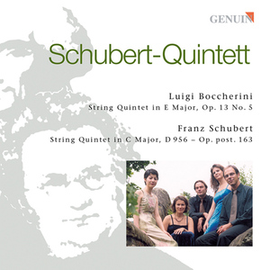 String Quintet in C Major, Op. 163, D. 956:IV. Allegretto