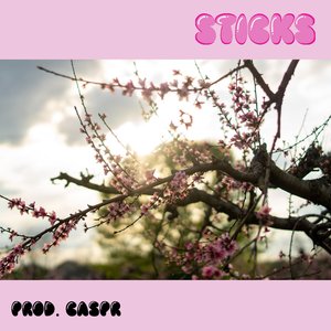 Sticks